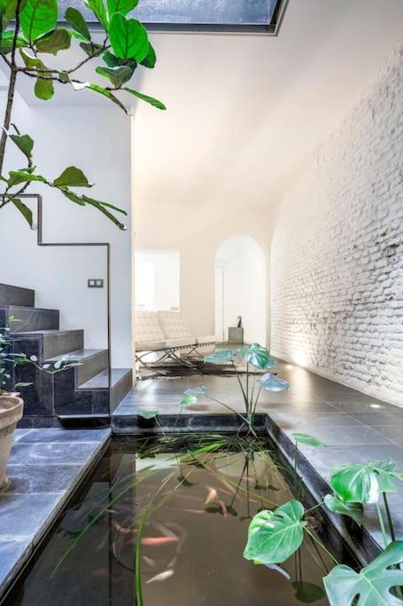 Exclusivo Apartamento De Diseno Centro Sevilla Matahacas Bajo 외부 사진