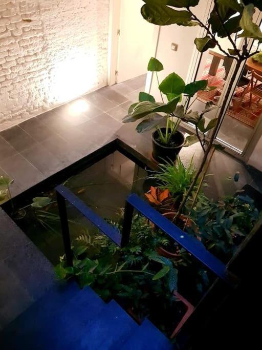 Exclusivo Apartamento De Diseno Centro Sevilla Matahacas Bajo 외부 사진