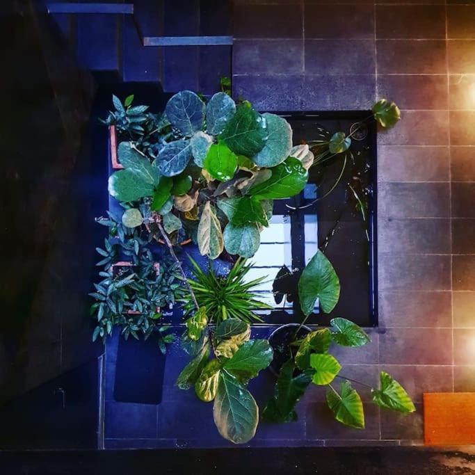 Exclusivo Apartamento De Diseno Centro Sevilla Matahacas Bajo 외부 사진